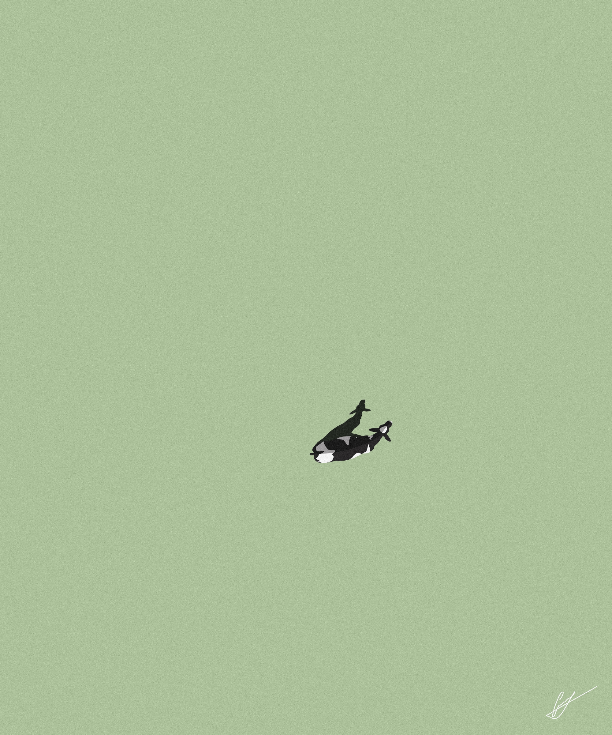 Grant Yun Cow